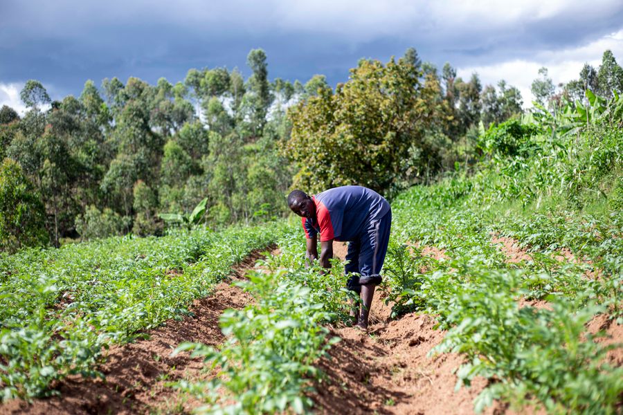 Agriculteur travaillant dans un champ cultivé